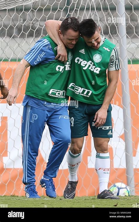 SÃO PAULO SP 12 05 2018 TREINO TUN PALMEIRAS Assistant Coach