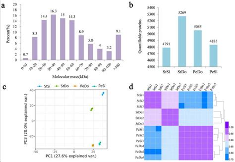 Plants Free Full Text Combined Transcriptome And Proteome Analysis