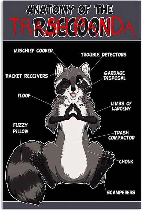 Amazon Jiufotk Anatomy Of The Trashpanda Metal Tin Sign Raccoon