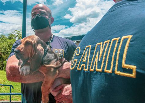 Canil Da Guarda Municipal De Santana De Parna Ba Ganha Refor O Para