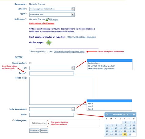 Création De Formulaires Web Personnalisés Avant 41130 Doc Octopus