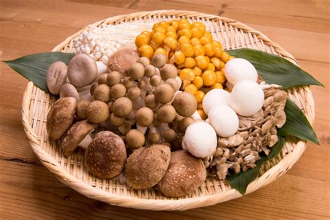 Must Know Benefits Of Mushroom Supplements For Better Health