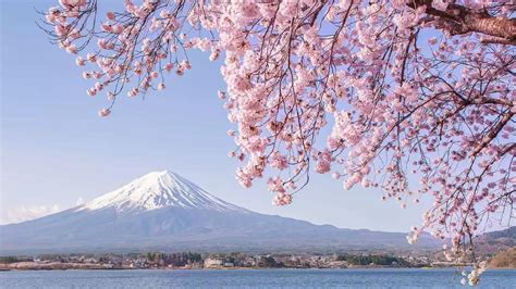 25 Most Beautiful Places In Japan