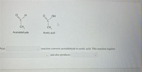 For Each Pair Of Biomolecules Identify The Type Of Chegg