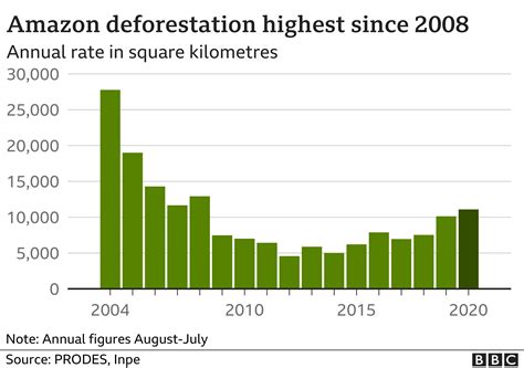 Brazil's Amazon: Deforestation 'surges to 12-year high'