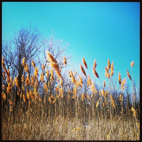 North Park Village Nature Center Chicago North Park Nature Center