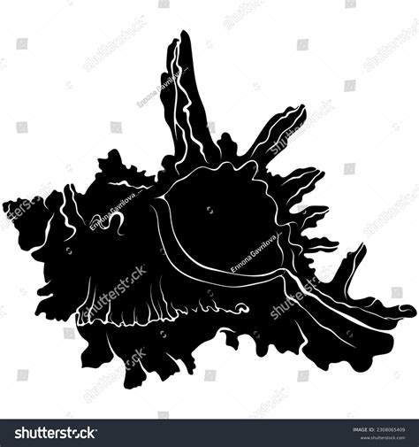 Black White Murex Over 121 Royalty Free Licensable Stock Illustrations