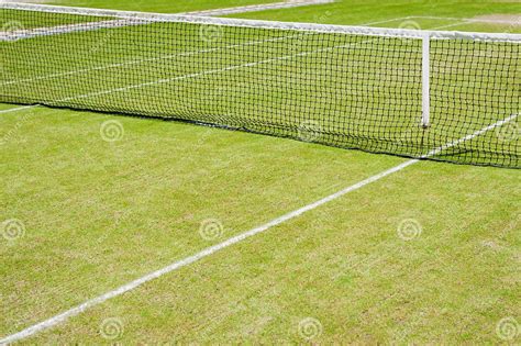 Grass Tennis Court Stock Image Image Of Championship 38828647