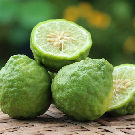 Bergamot Orange K M Trade International