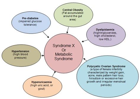 Metabolic Syndrome X Insulin Resistance Syndrome X Reaven Syndrome X