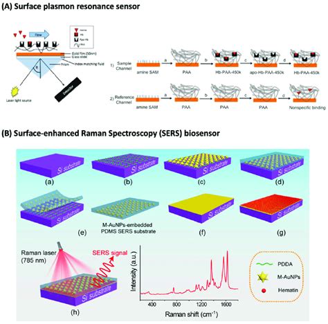 Example of sensors for malaria diagnosis based on hemozoin detection ...