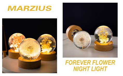 Marzius Flower Crystal Ball Night Light 2 4 Inch Glass Ball Night Lamp