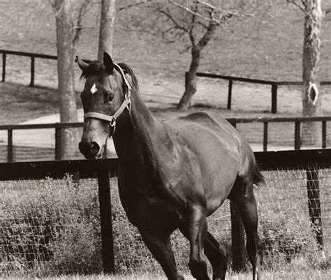 HOIST THE FLAG - Claiborne