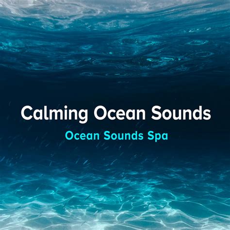 Calming Ocean Sounds Álbum de Ocean Sounds Spa Spotify