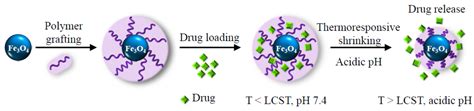 Nanomaterials Free Full Text Smart Magnetic Nanocarriers For Multi