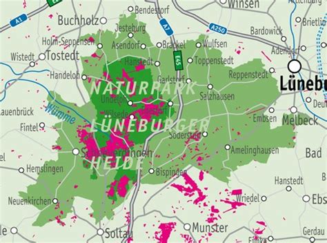 Naturerlebnis Heideflächen im Naturpark Lüneburger Heide: im Naturschutzgebiet befinden sich die ...