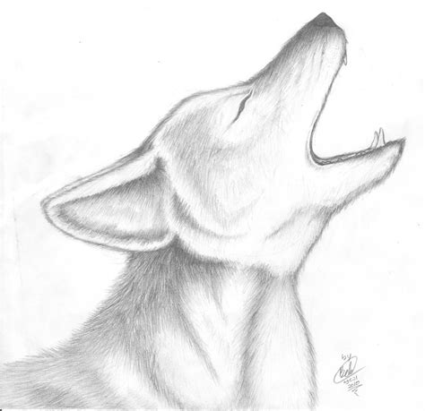 Howling Coyote by ChibiLuka on DeviantArt