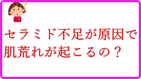 セラミド不足が原因で肌荒れが起こるの？ おおしろ蓮のスキンケア教室