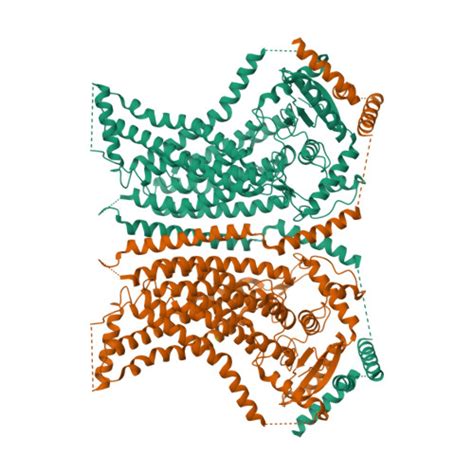 Rcsb Pdb Qma Cryo Em Structure Of Calcium Bound Nhtmem Lipid