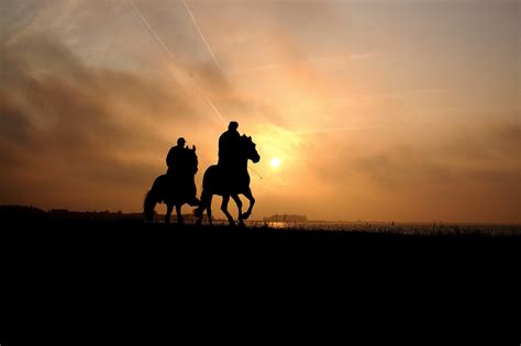 horse back riding at sunset Free Photo Download | FreeImages