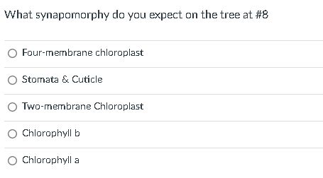 Solved Carefully examine the phylogenetic tree and determine | Chegg.com