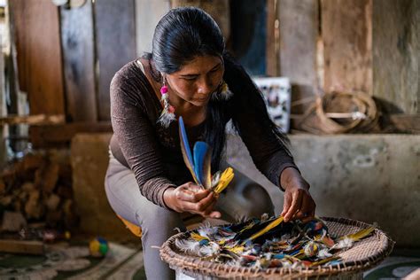 El Aporte De Los Pueblos Indígenas Al País Es Invaluable Wwf