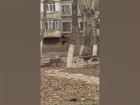 Дрочун Астана донорский центр - YouTube
