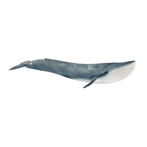 Schleich Blue Whale Toy Figurine | eBay