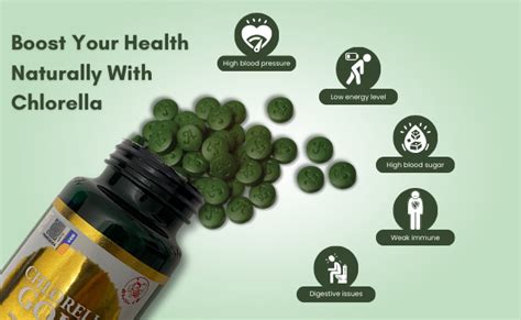 Explore Impressive Chlorella Benefits For Kidneys