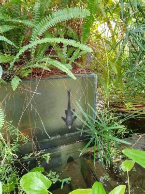 Quelques Nouvelles De Chez Nous Les Serres Du Jardin Botanique