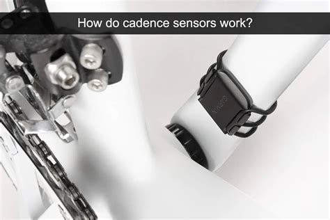 Torque Vs Cadence Sensor On E Bike What Is The Difference