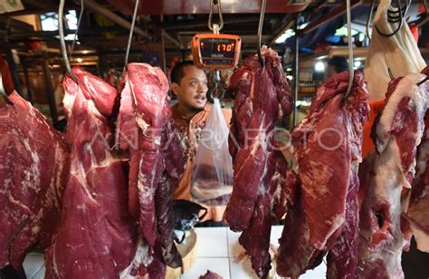 TEKAN HARGA DAGING SAPI ANTARA Foto