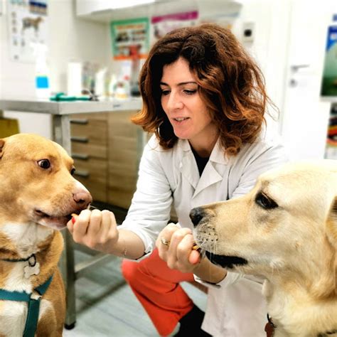 Ambulatorio Veterinario Porta Di Roma