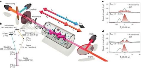 quantum computer network interface diagram