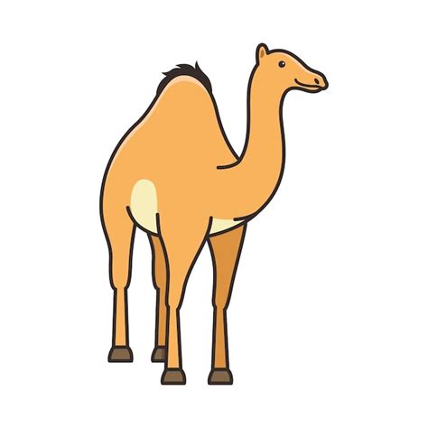 Premium Vector Camel