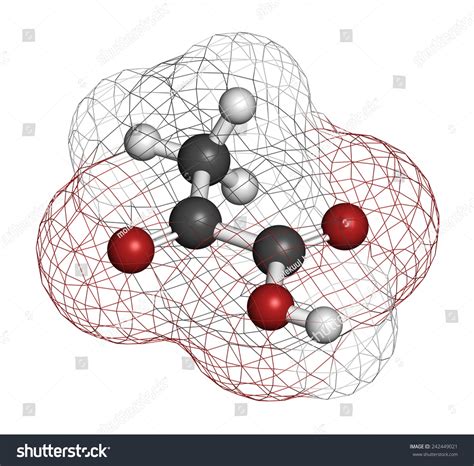 Pyruvic Acid Pyruvate Molecule Important Intermediate Stock Illustration 242449021 Shutterstock