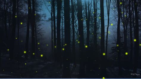 Firefly Nights wallpaper | nature and landscape | Wallpaper Better