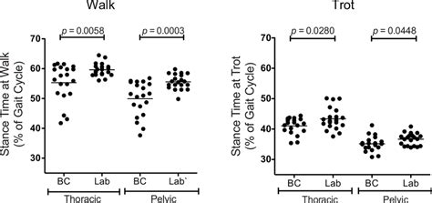 Stance Time As A Percentage Of Gait Cycle St Of The Thoracic And