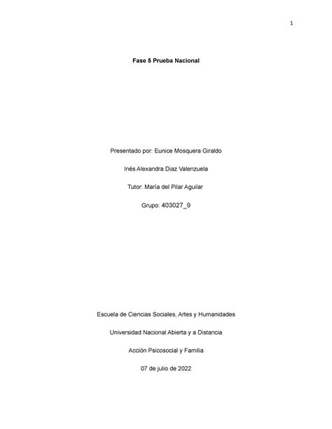 Acci N Psicosocial Y Familia Fase Fase Prueba Nacional Presentado