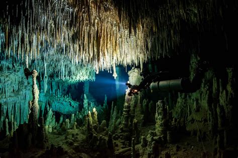 Cave Diving Cenote Tours Cave Diving Mexico Playa Del Carmen