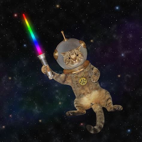 Astronauta De Gatos Estrela No Espaço Exterior Foto de Stock