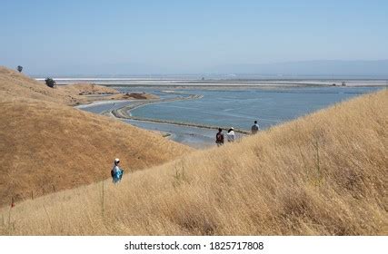 401 Coyote Hills Regional Park Images, Stock Photos & Vectors ...