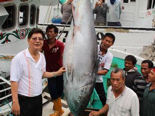 First Bluefin Tuna In Pingtung Festival To Be Auctioned Taiwan Today