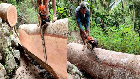 Skill Membelah Kayu Besar Chainsaw Stihl Ms 382 YouTube