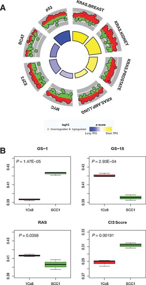 Functional Genomics Uncover The Biology Behind The Responsiveness Of