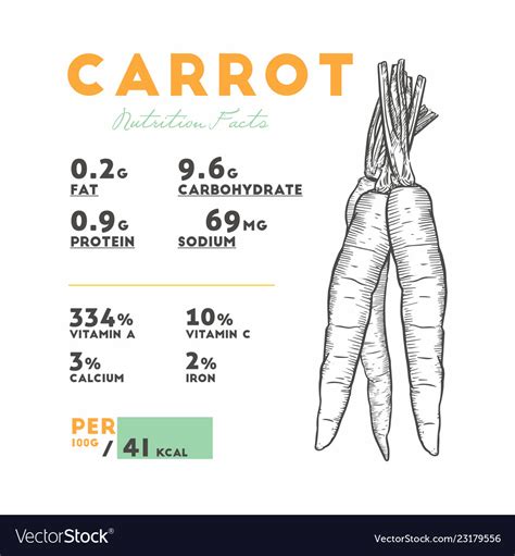 Nutrition facts of raw carrot Royalty Free Vector Image