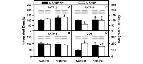 Effects Ad Libitum Feeding As Well As L Fabp Gene Ablation On Key Fatty Download Scientific