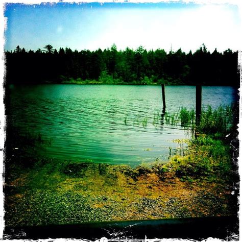 Loomis Lake Long Beach Peninsula Natural Landmarks Nature Lake