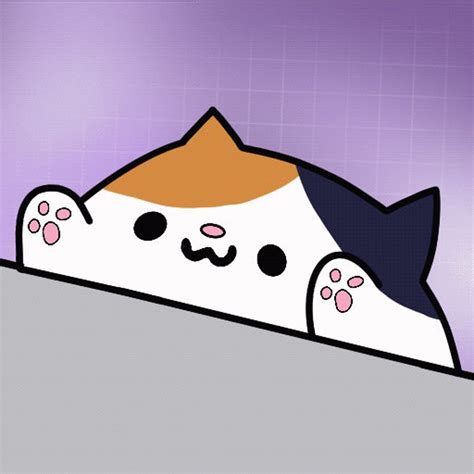 Calico Bongo Twitch Animated Emote Etsy