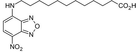 NBD dodecanoic acid Fatty acid ligand binding site probe ab145361 アブカム